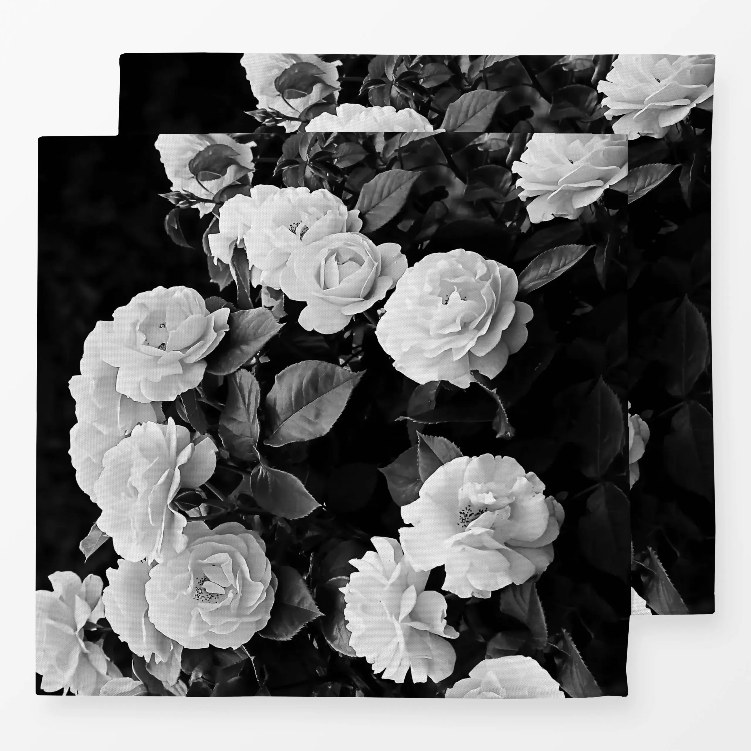 Servietten Rose Brush - Blumen & Florales - von „Sisi and Seb“; Blumen, Rosen, Garten, floral, Floral, Blumenmuster, Schwarz...
