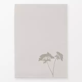 Geschirrtücher Wilde Möhre Pur Beige Hell