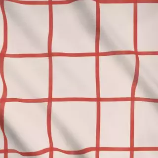 Meterware Red Grid