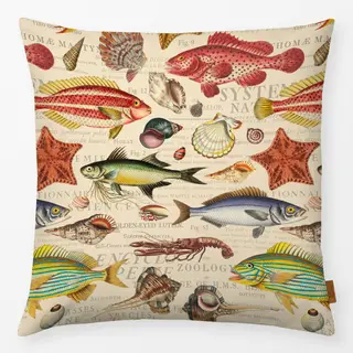 Kissen Vintage Marine Study Beige