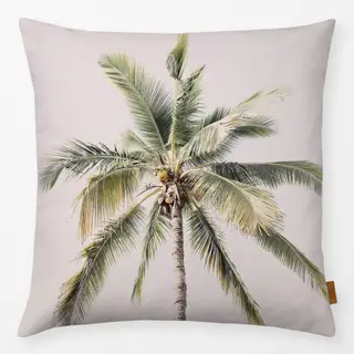 Kissen Palm Tree
