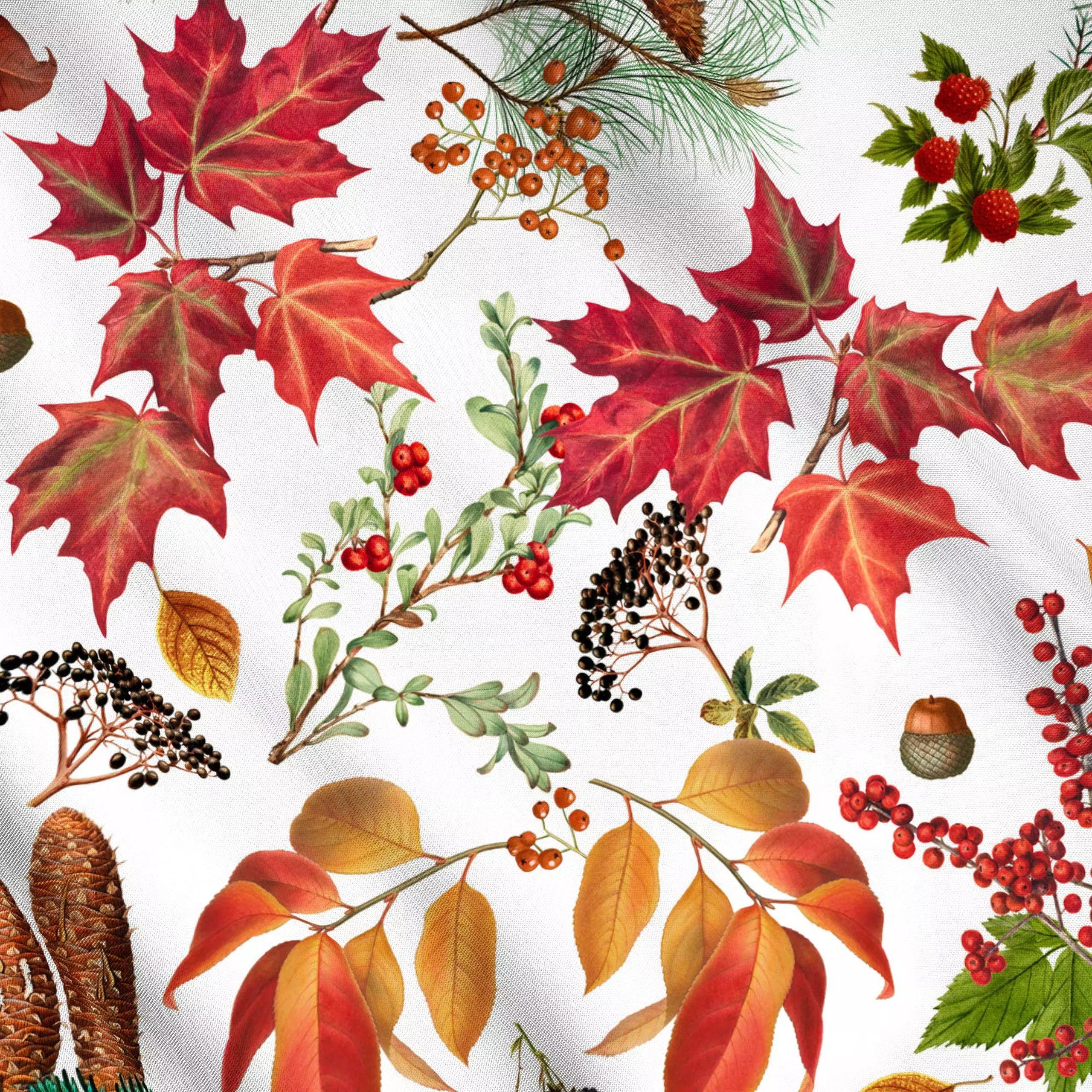 Meterware Goldener Herbst 3 - Blumen & Florales, Herbst - von „Andrea Haase"; Natur, Pflanzen, Beeren, Wald, botanik, rot, J...