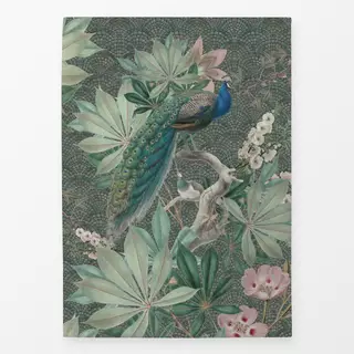 Geschirrtücher Peacock botanical garden