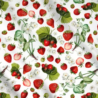 Meterware Vintage Erdbeeren
