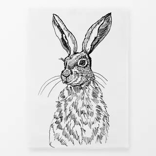 Geschirrtücher Hase Tusche Schwarz Weiss