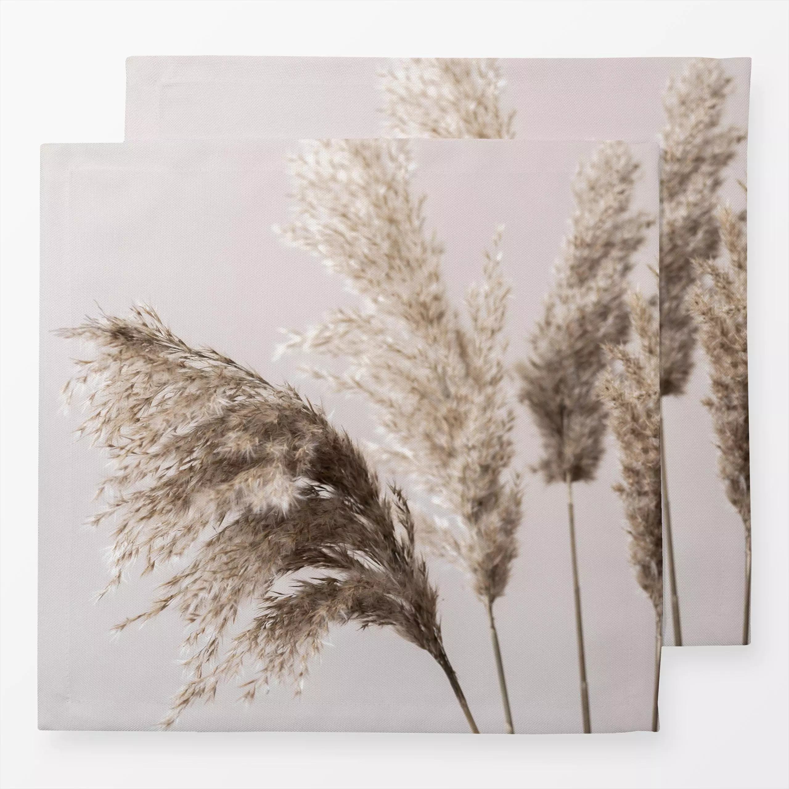 Servietten Grass 24 - Natur & Landschaft, Pflanzen & Botanik - von „Mareike Böhmer"; Natur, minimal, Pampasgras, Trockenblum...