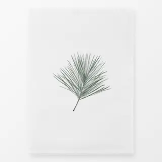 Geschirrtücher Kiefer