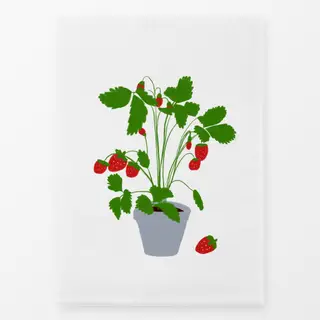 Geschirrtücher Erdbeerpflanze