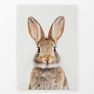 Geschirrtücher Osterhase