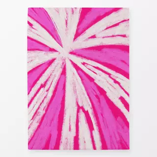 Geschirrtuch Firework pink