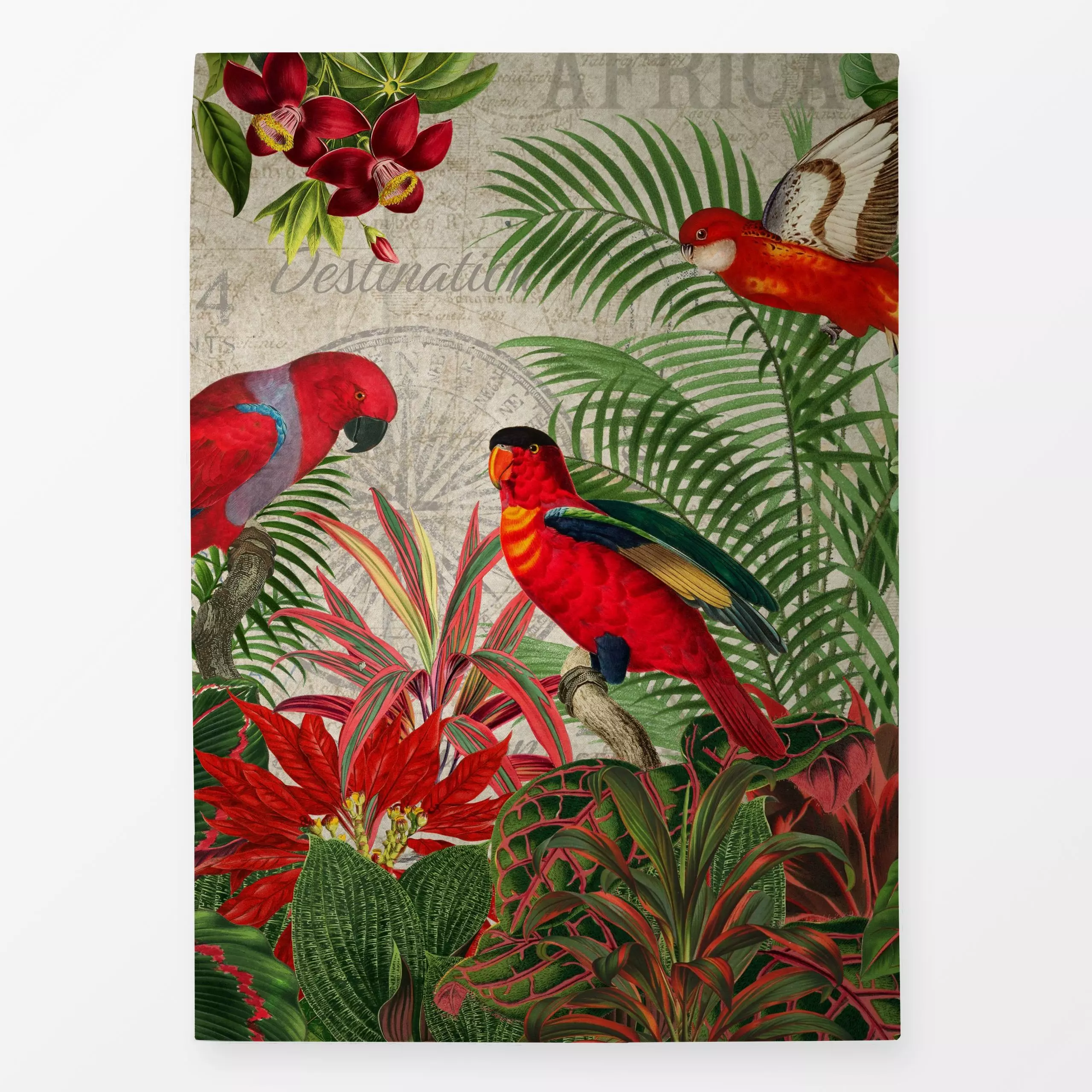 Geschirrtücher Papagein im Tropen Dschungel 1 - Tiere, Pflanzen & Botanik, Safari & Dschungel - von „Uta Naumann"; Natur, Bl...