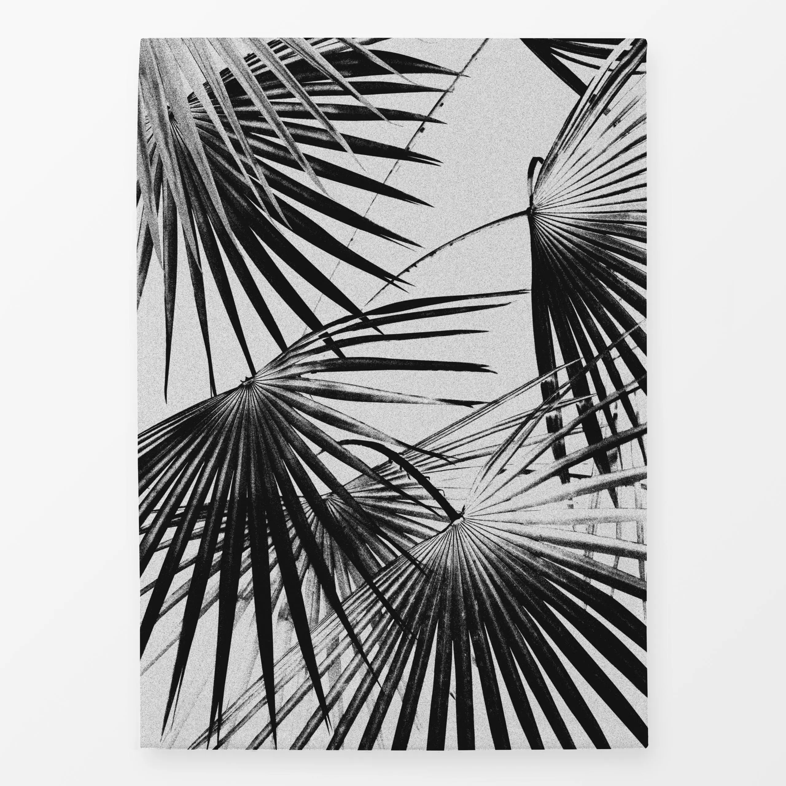 Geschirrtücher Tropical 5 - Pflanzen & Botanik - von „LEEMO"; Natur, Retro, Blätter, Pflanzen, Palmenwedel, botanik, Fotogra...