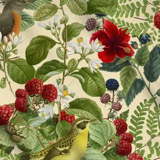 Meterware Birds And Berries III