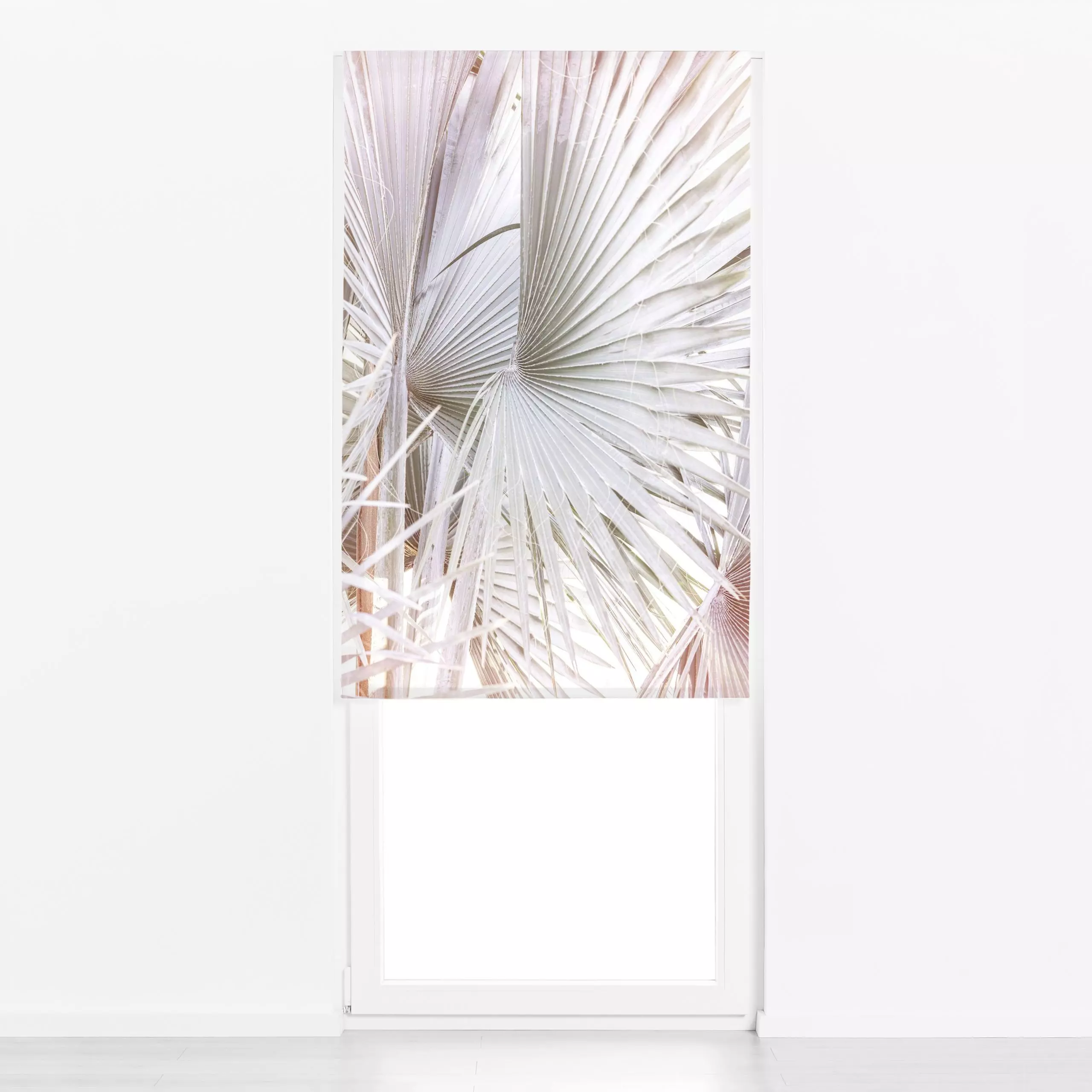 Raffrollo Palmera - Pflanzen & Botanik - von „Sisi and Seb"; Palmen, tropisch, tropical, colourful