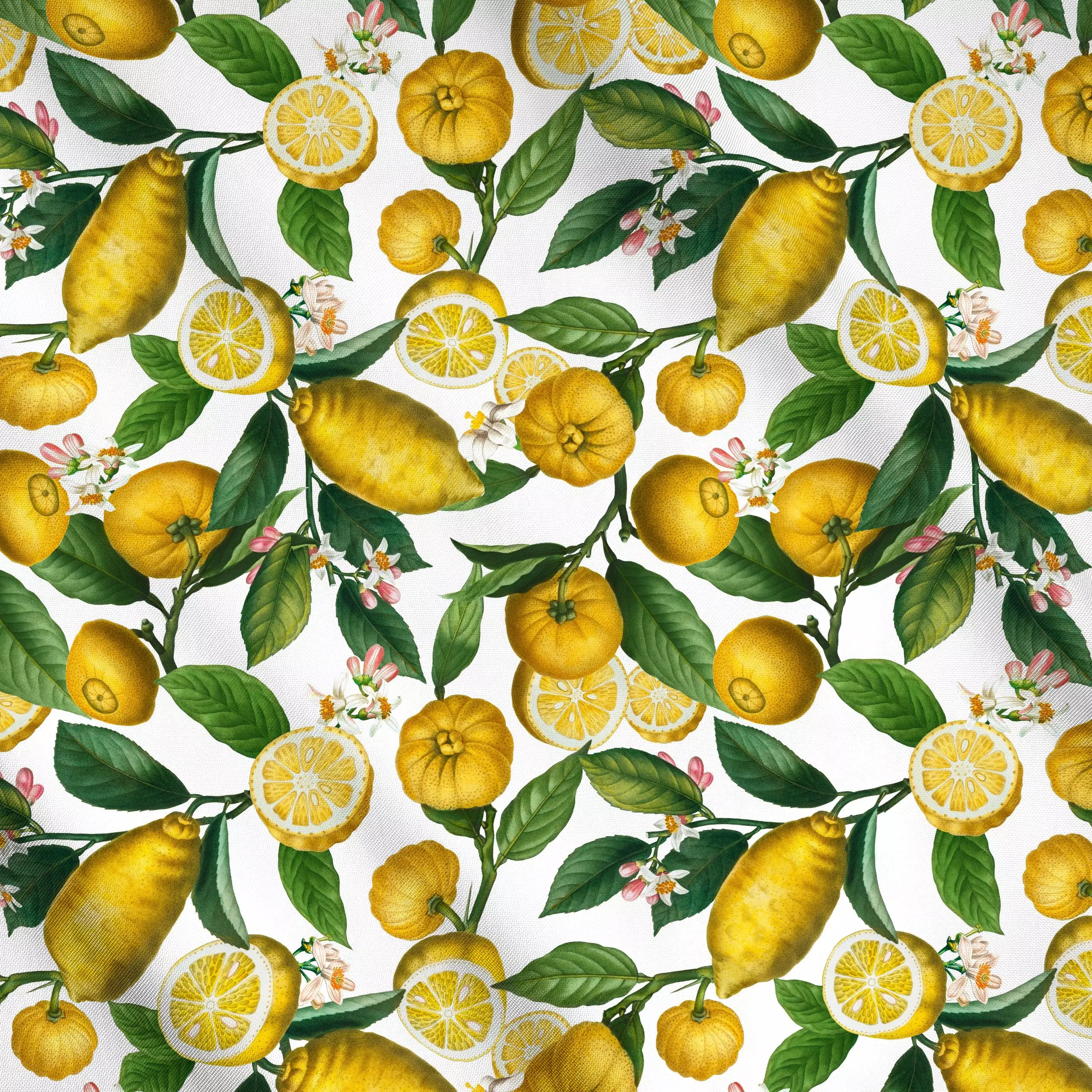 Meterware Zitronen Limonade 4 - Retro & Vintage - von „Uta Naumann"; Muster, exotisch, Botanisch, floral, vintage, klassisch...