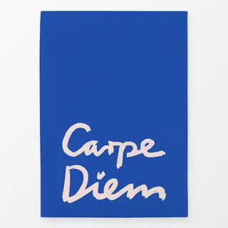 Geschirrtücher Carpe Diem Blau Wendekissen