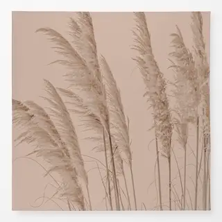 Tischdecke Sanftes Pampasgras Beige Braun