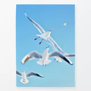 Geschirrtücher Emil