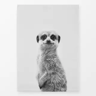 Geschirrtuch Meerkat