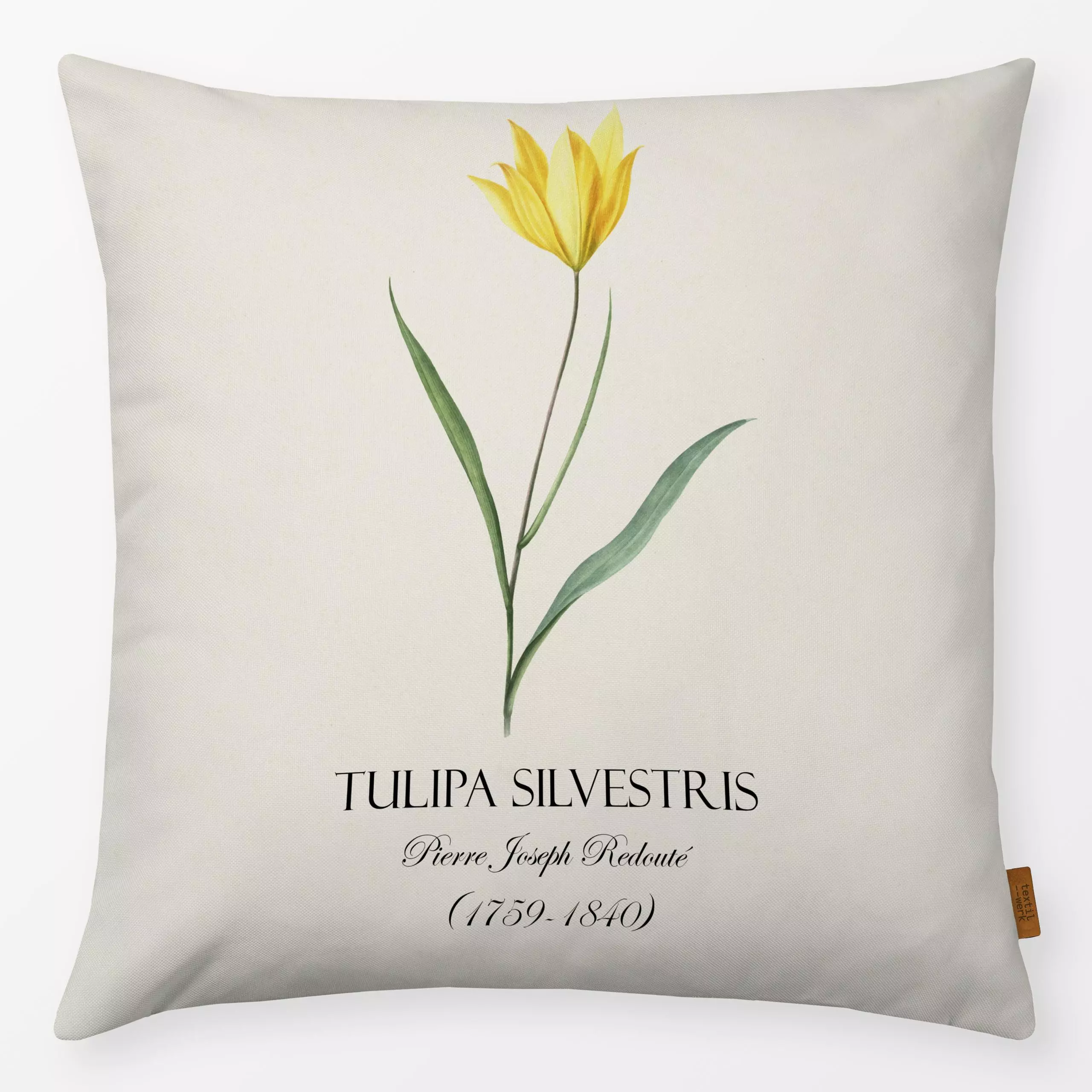 Kissen Gelbe Redoute Tulpe - Frühling, Pflanzen & Botanik - von „Andrea Haase"; Tulpen, Blüten, vintage, botanik, Historisch...
