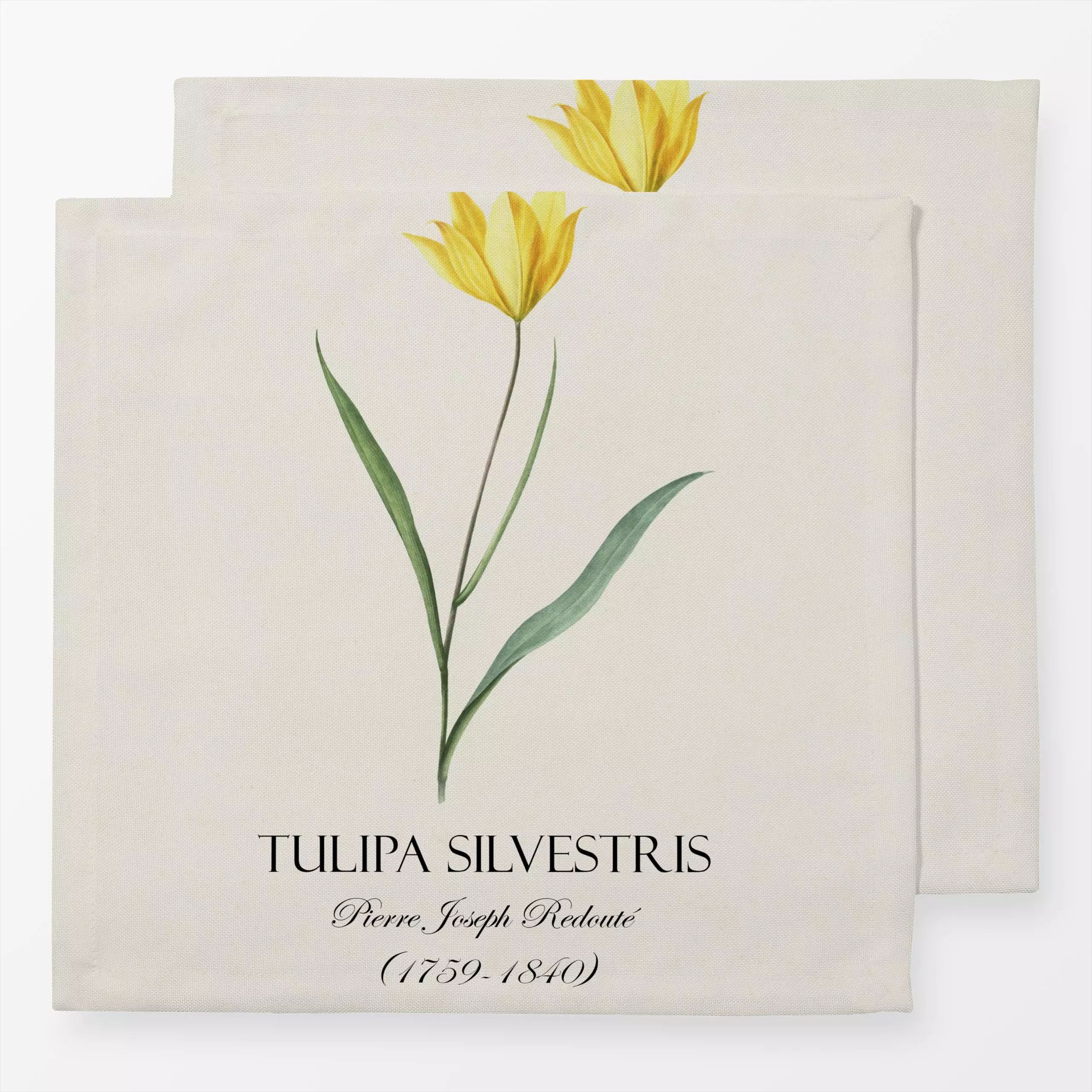 Servietten Gelbe Redoute Tulpe - Frühling, Pflanzen & Botanik - von „Andrea Haase"; Tulpen, Blüten, vintage, botanik, Histor...