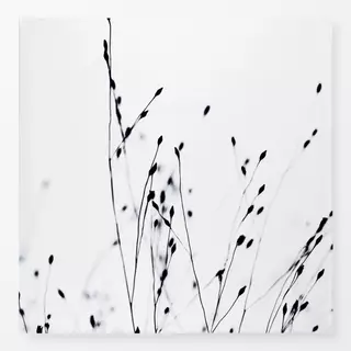 Tischdecke Schwarze Gräser