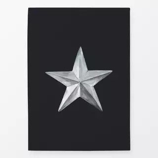 Geschirrtücher Silberner Stern anthrazit