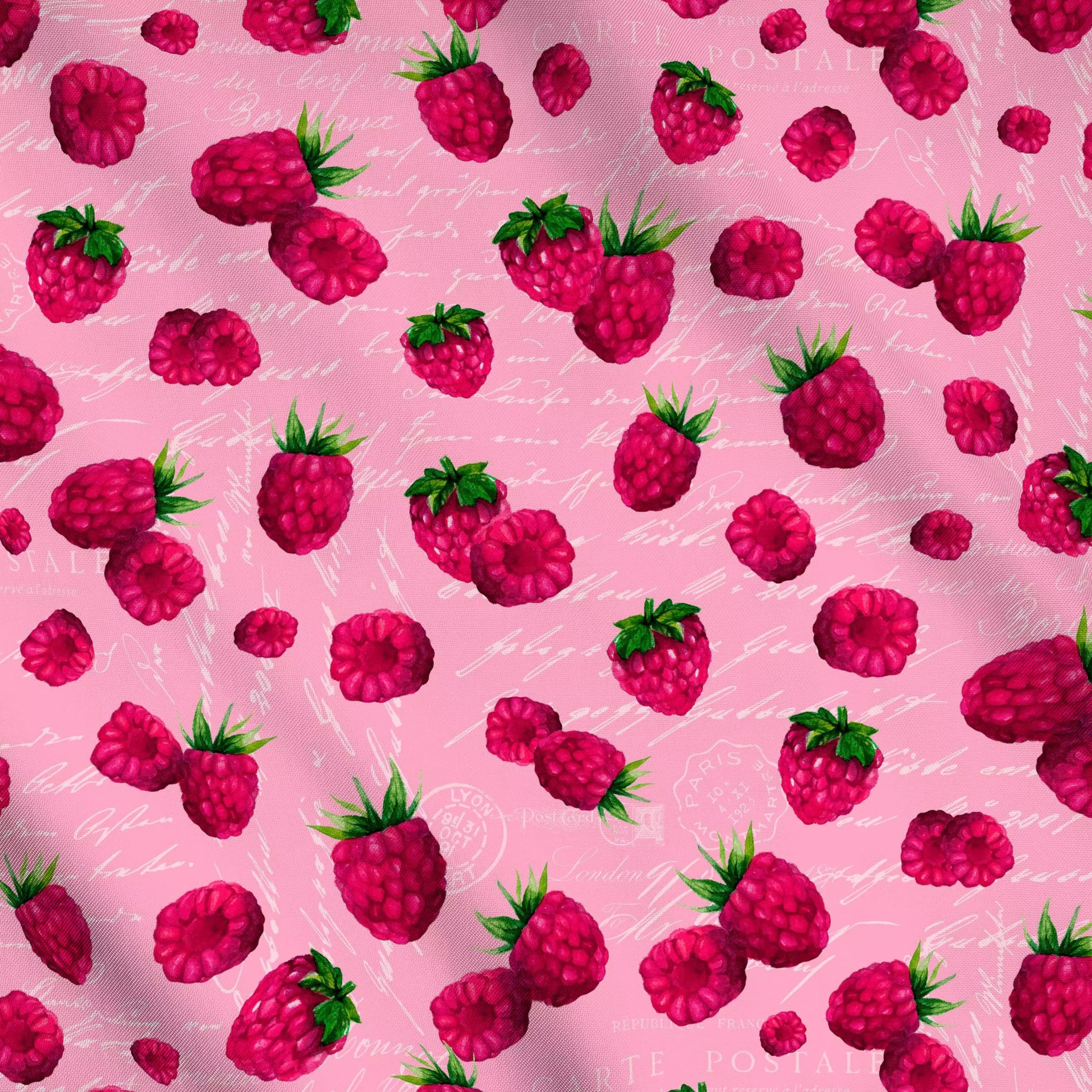 Meterware Himbeerglück - Sommer - von „Andrea Haase"; Frucht, Obst, rosa, Beeren, Sommer, pink, Essen, Himbeeren, Sommerlich