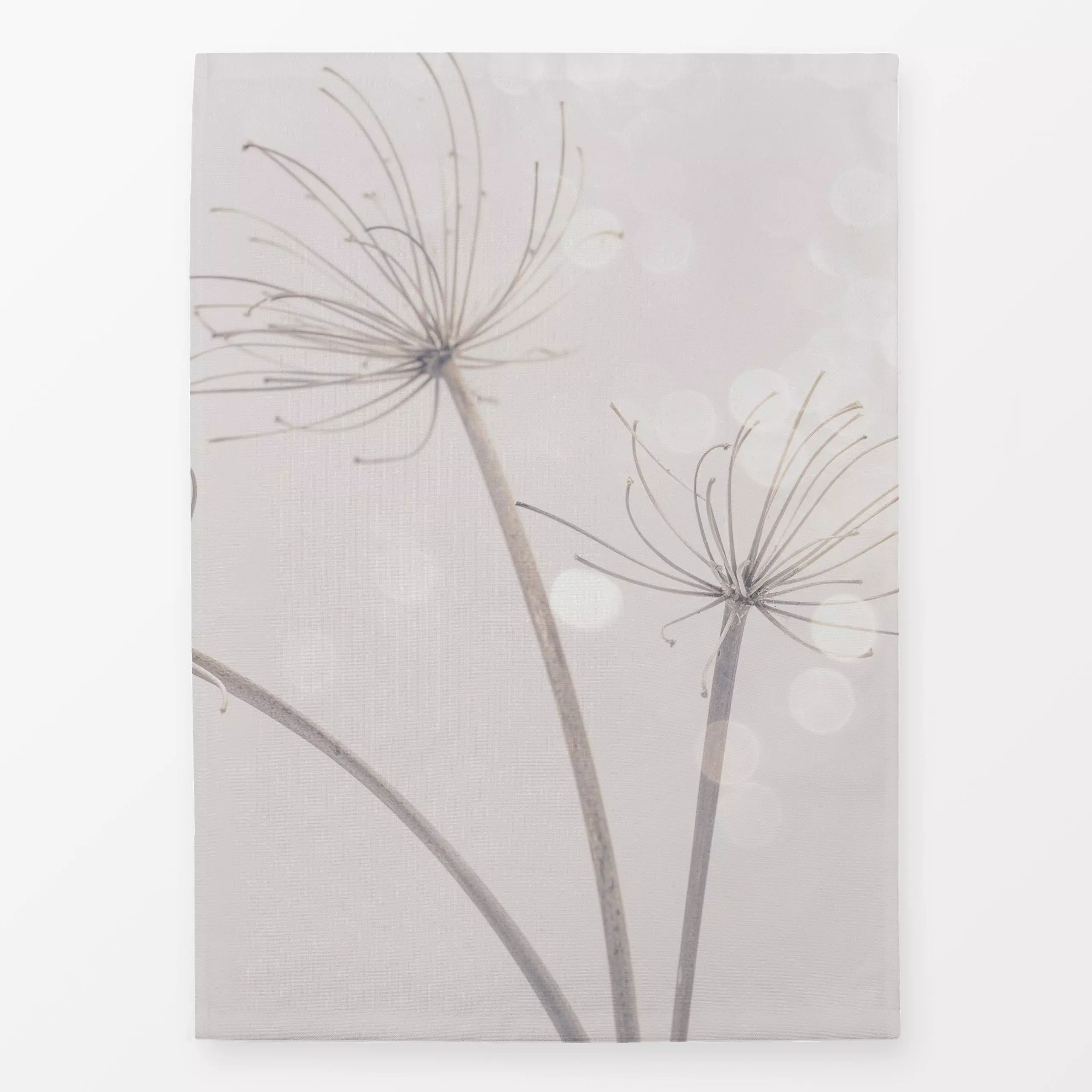 Geschirrtücher Beauty of Nature - Blumen & Florales, Natur & Landschaft - von „Andrea Haase"; Blumen, Pflanzen, Pusteblume, ...