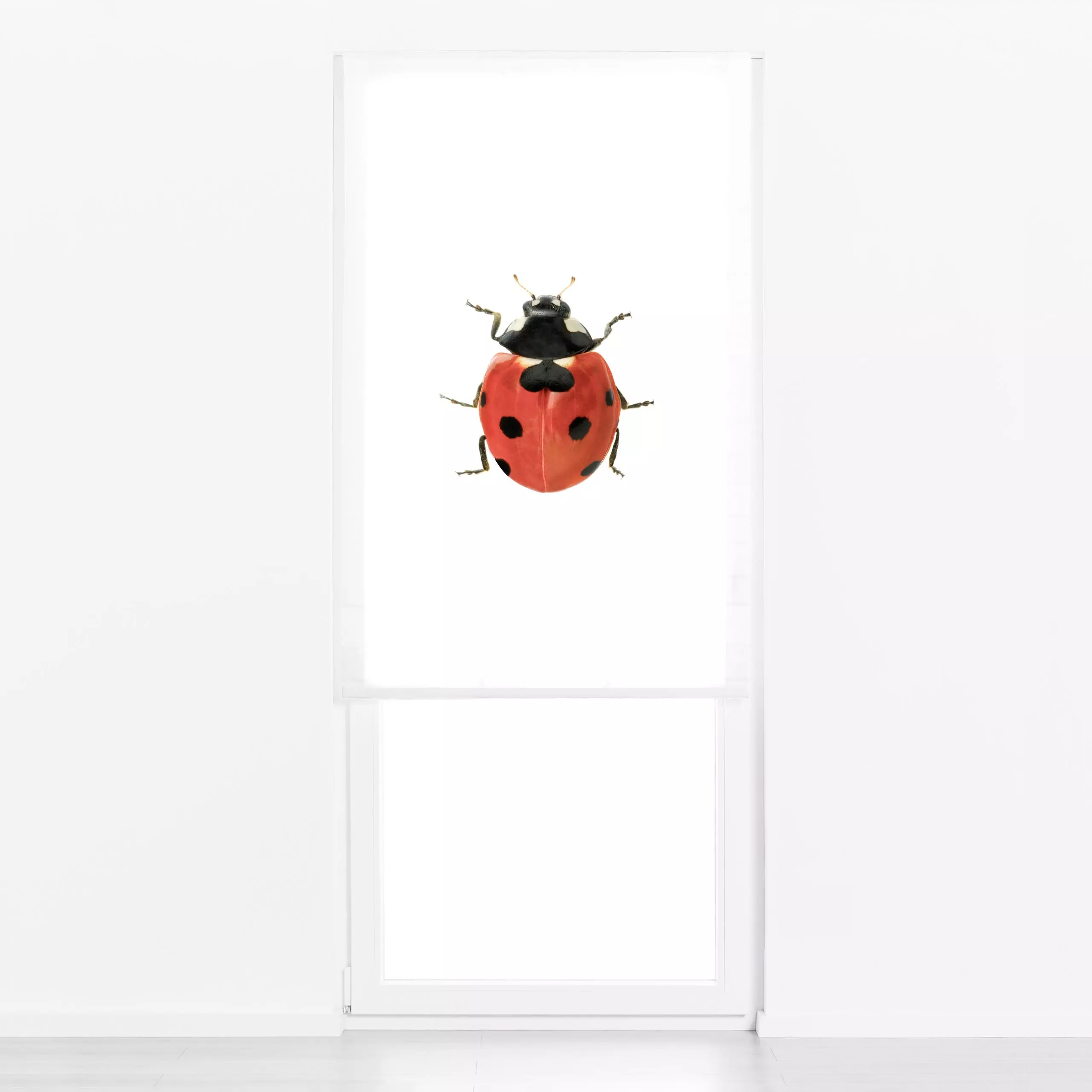 Raffrollo Ladybug - Natur & Landschaft, Tiere - von „Sisi and Seb"; Wildtiere, Insekten, rot, ladybug, Marienkaefer, spots, ...