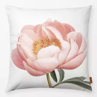 Kissen Coral Peony