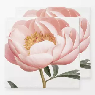 Servietten Coral Peony