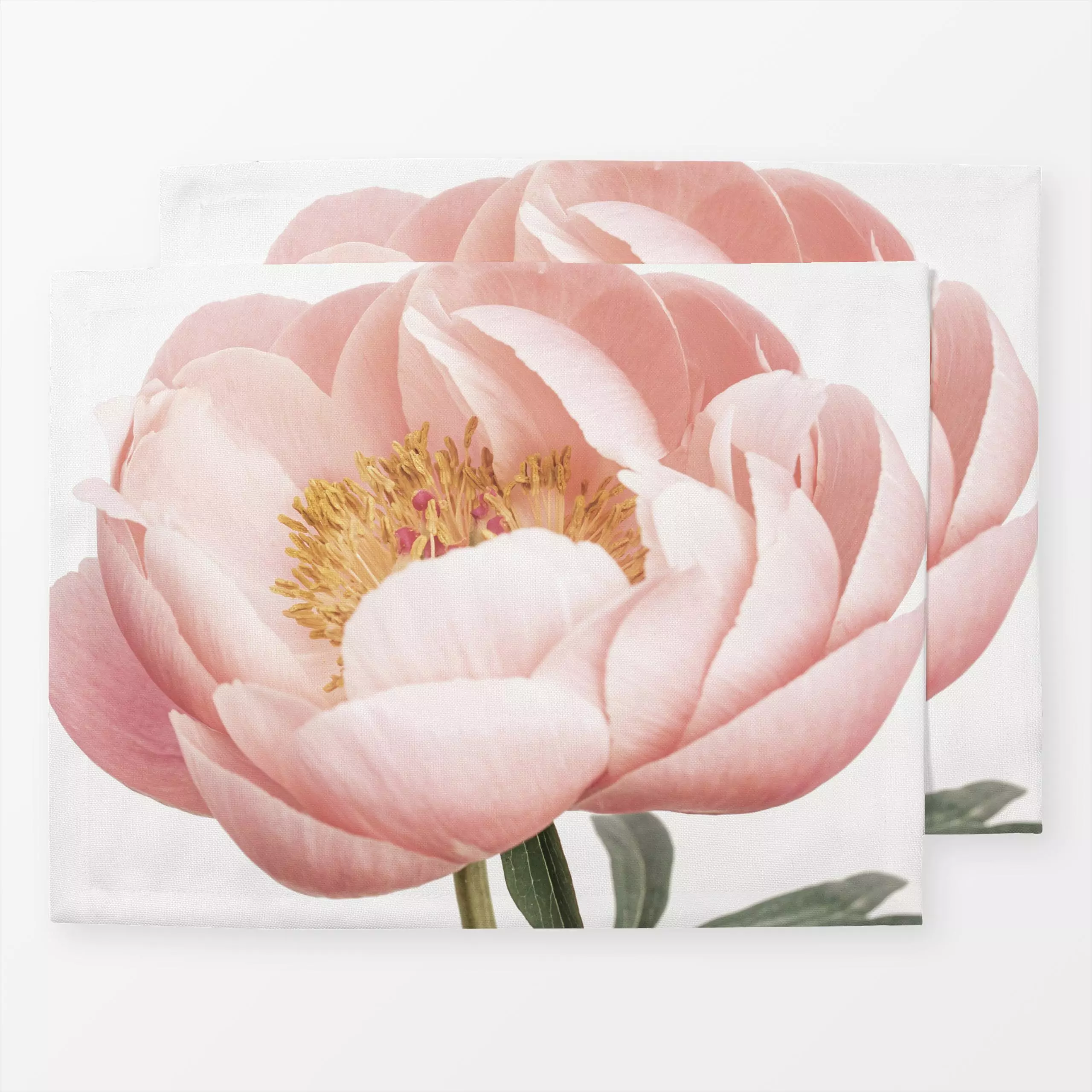 Tischset Coral Peony - Blumen & Florales, Retro & Vintage - von „Sisi and Seb"; Pfingstrosen, Pfingstrose