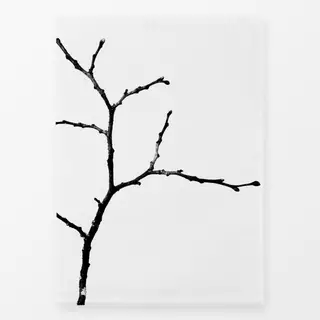 Geschirrtücher Winter Branches 17