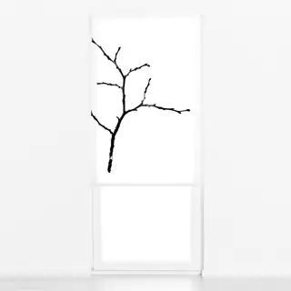 Raffrollo Winter Branches 17