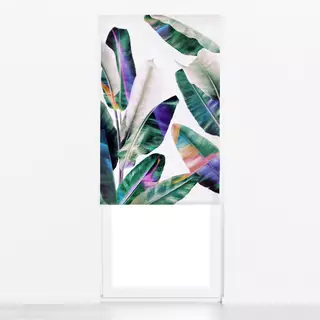 Raffrollo Tropical 1