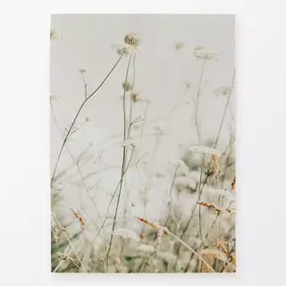 Geschirrtücher Wild Flowers in Pastel Colors